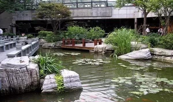 Huangpu Park Inside Lake Day View